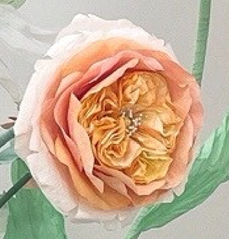 CUSTOM Giant Blooms -Keely B