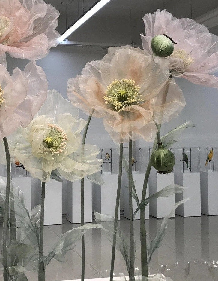 Giant Blooms 23OGF04 Organza Poppies