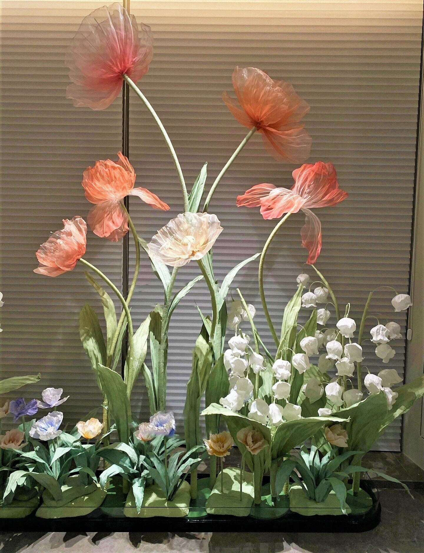 Giant Blooms 23OGF16 Mixed Set – GIANT BLOOMS