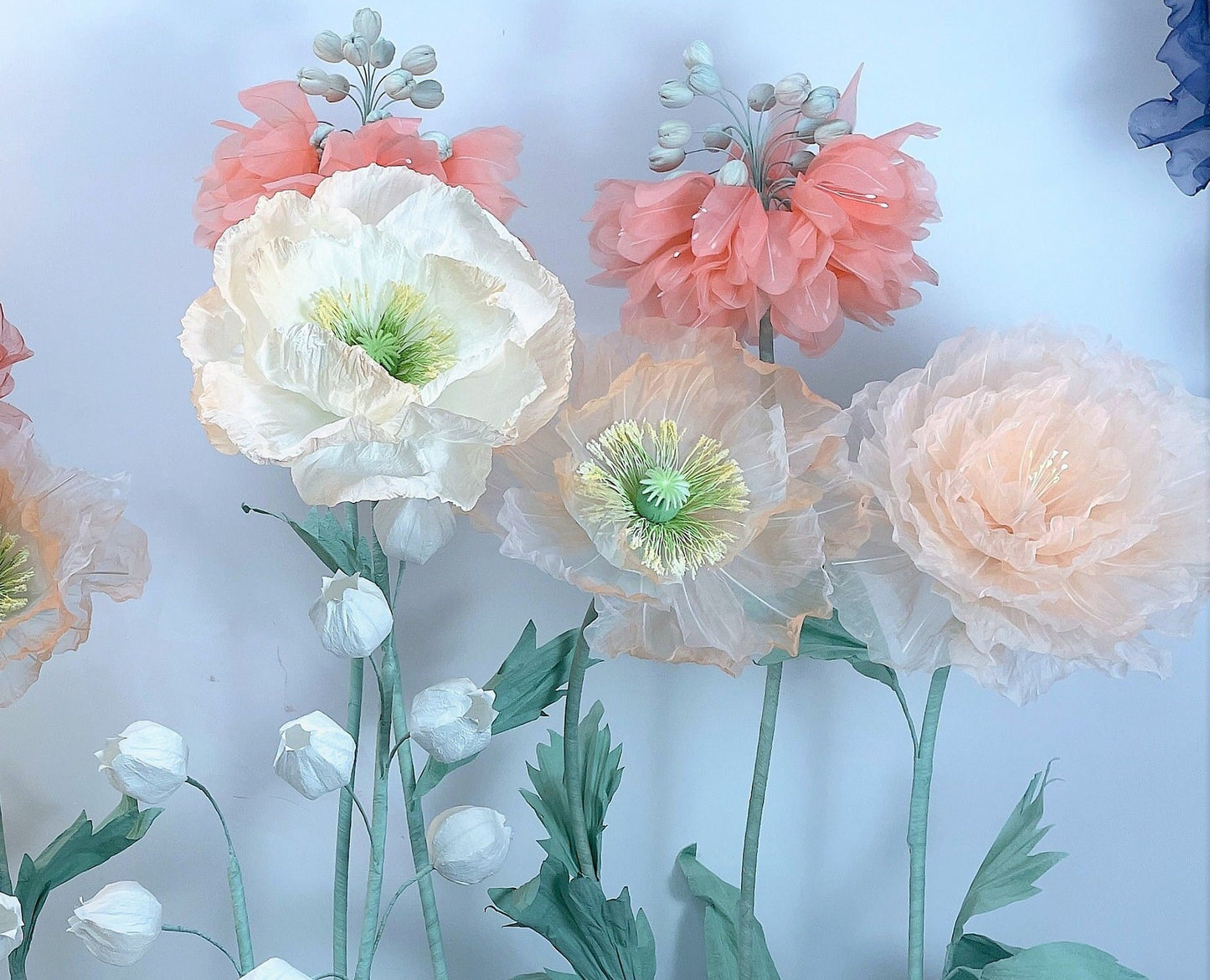 Giant Blooms 23OGF21 Mixed Set