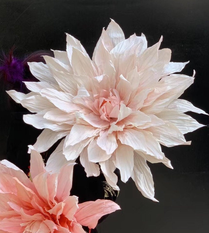 Giant Blooms 23PGF06 Paper Lotuses