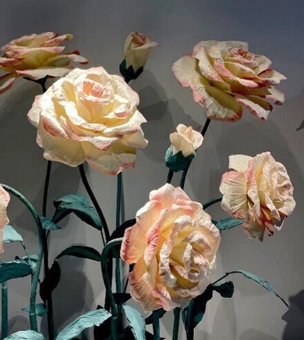 Giant Blooms 23PGF25 Paper Roses