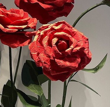Giant Blooms 23PGF28 Paper Roses