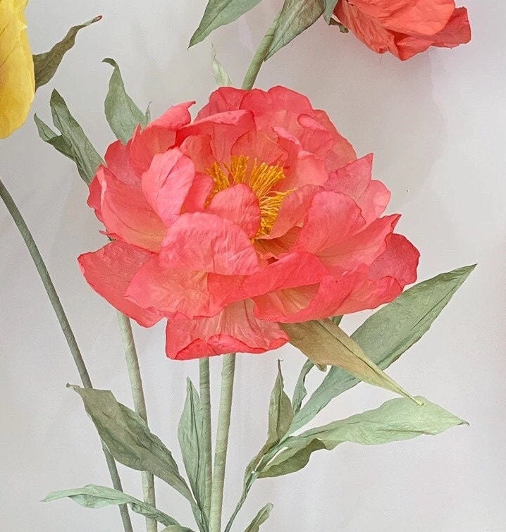 Giant Blooms 23PGF30 Paper Peonies