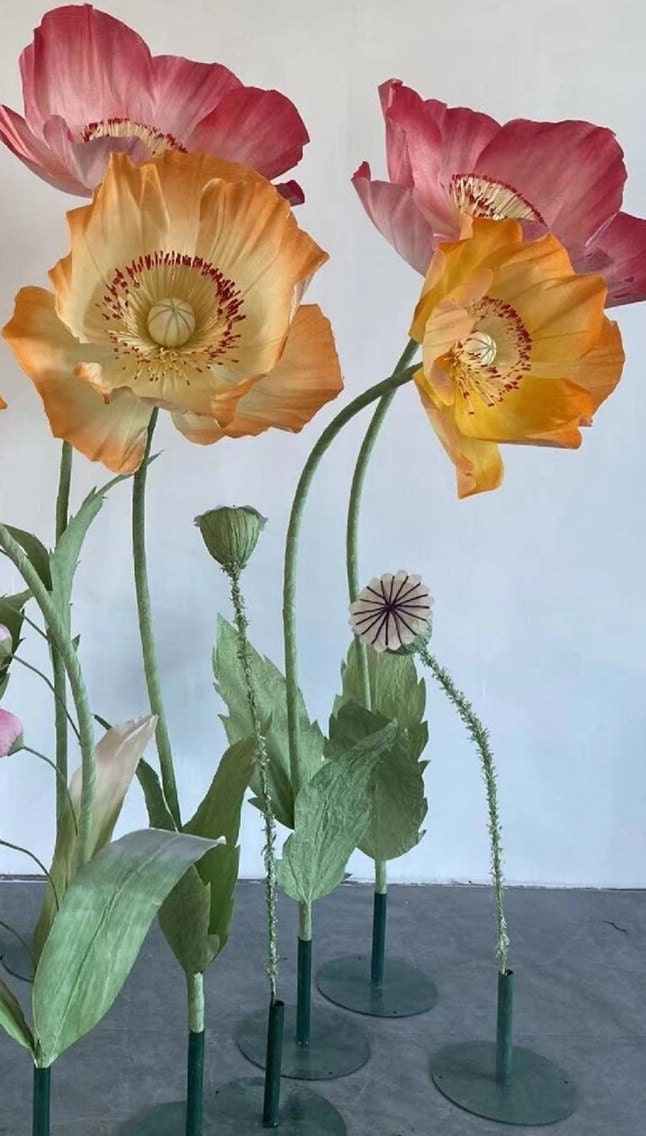 Giant Blooms 23PGF49 Paper Poppies