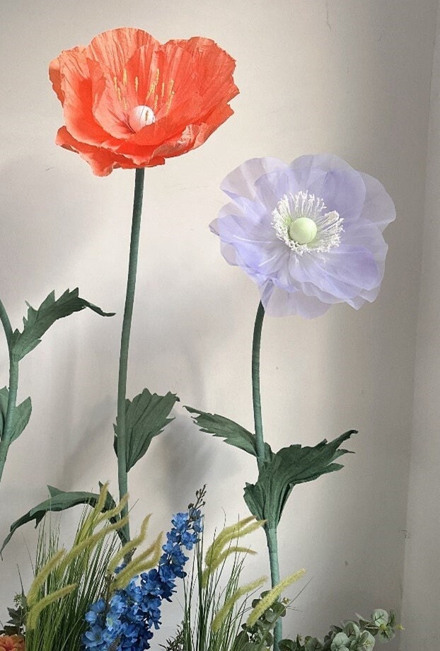 Giant Blooms 23PGF51 Mixed Poppies