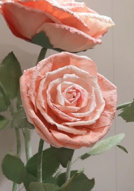 Giant Blooms 23PGF21 Paper Roses