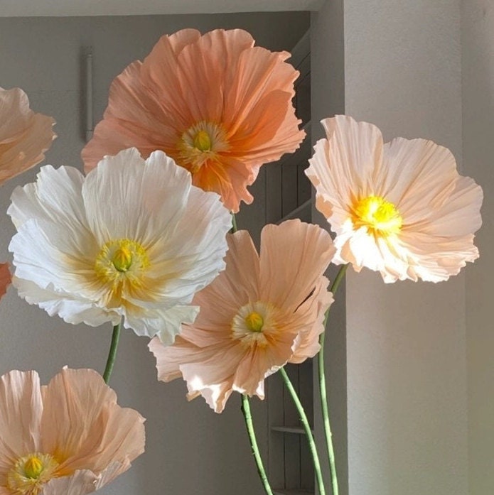 Giant Blooms 23PGF52 Paper Poppies