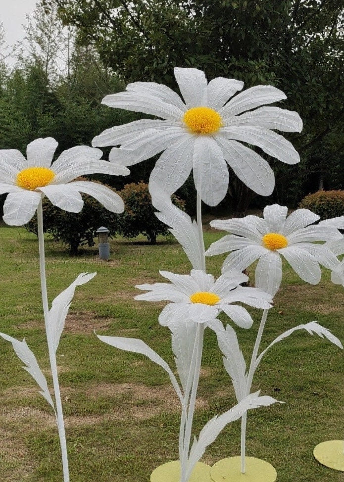 Giant Blooms 23OGF09 Organza Daisies