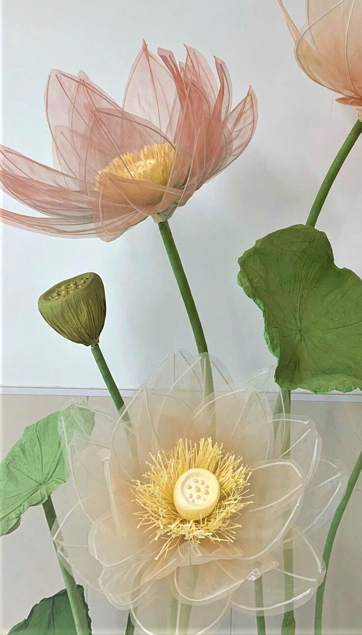 Giant Blooms 23OGF13 Organza Lotus