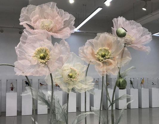 Giant Blooms 23OGF04 Organza Poppies