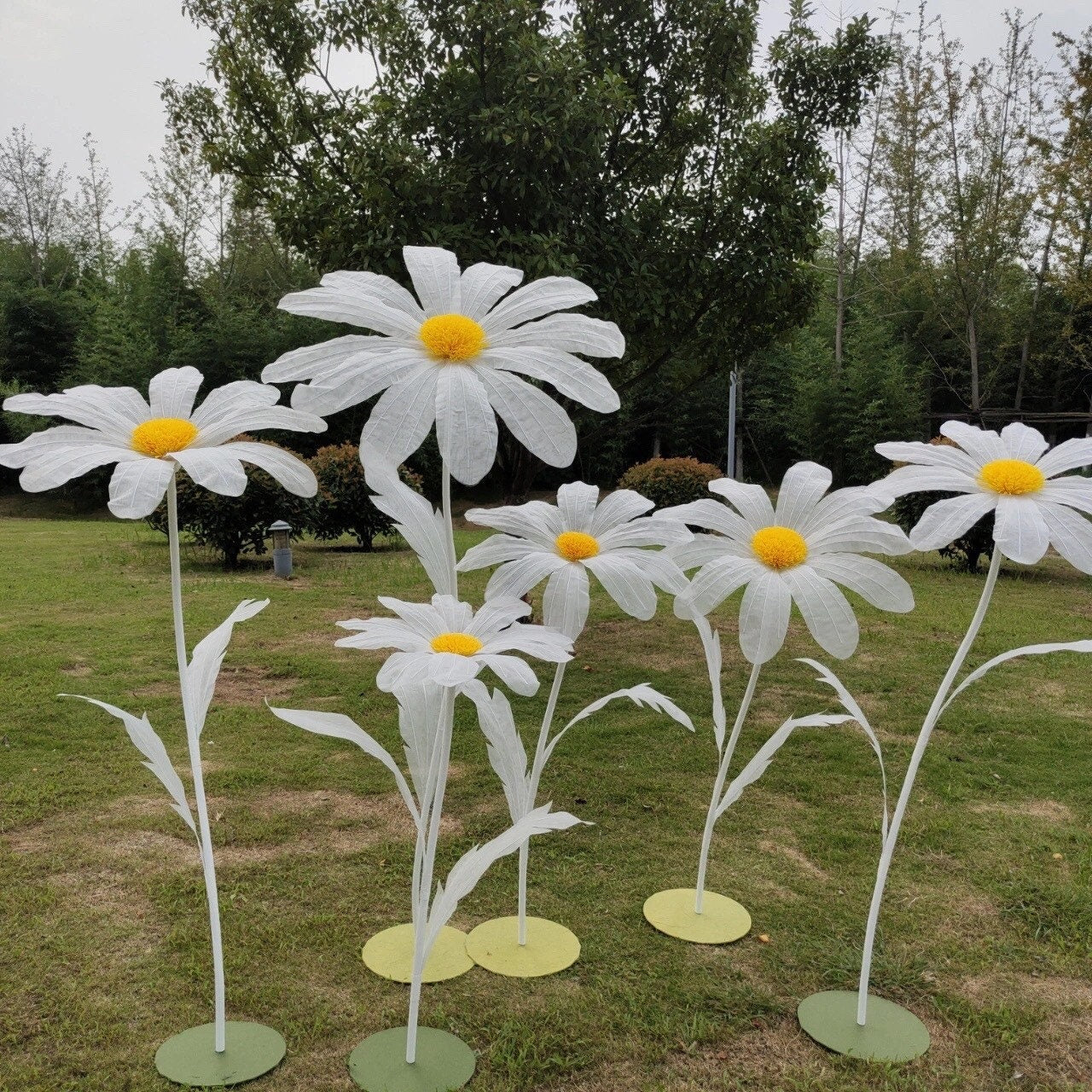 Giant Blooms 23OGF09 Organza Daisies