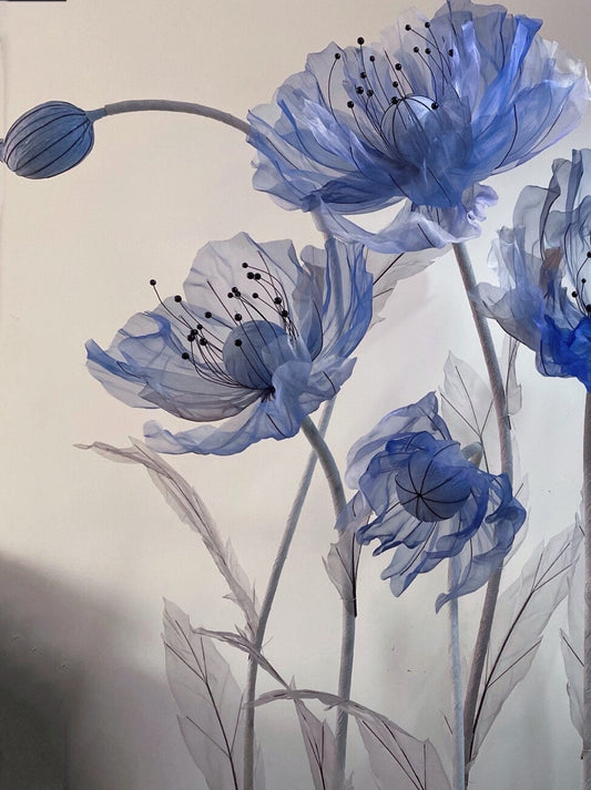 Giant Blooms 23OGF17 Organza Poppies