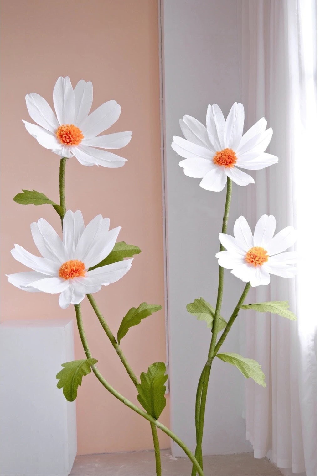 Giant Blooms 23PGF03 Paper Daisies