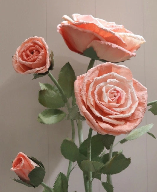 Giant Blooms 23PGF21 Paper Roses