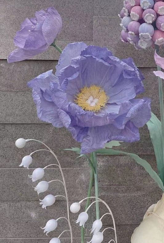 Giant Blooms 23PGF31 Mixed Set