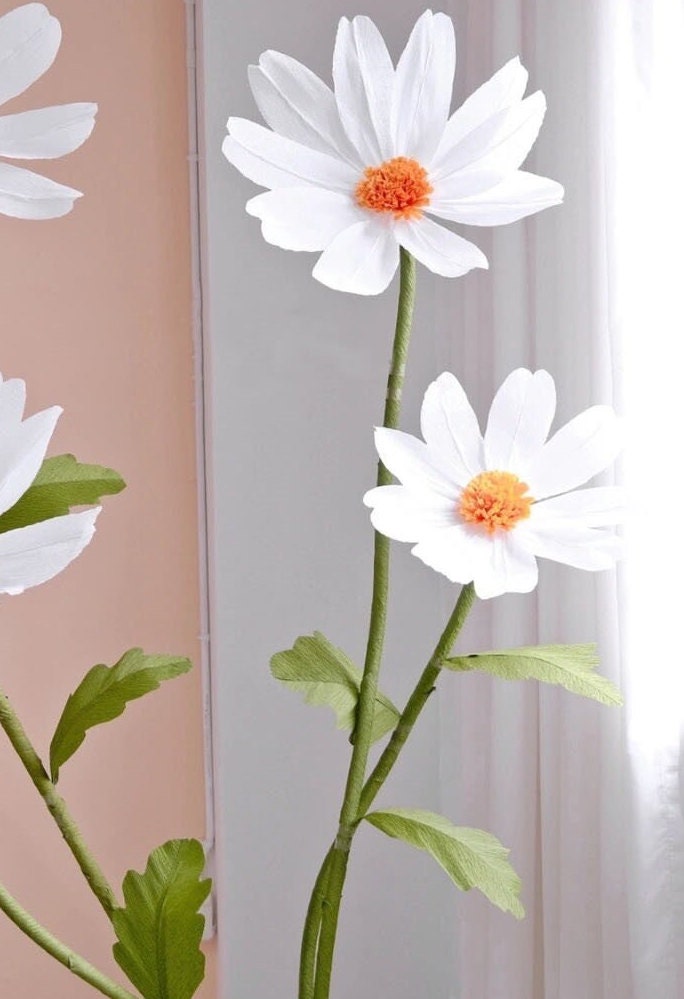 Giant Blooms 23PGF03 Paper Daisies