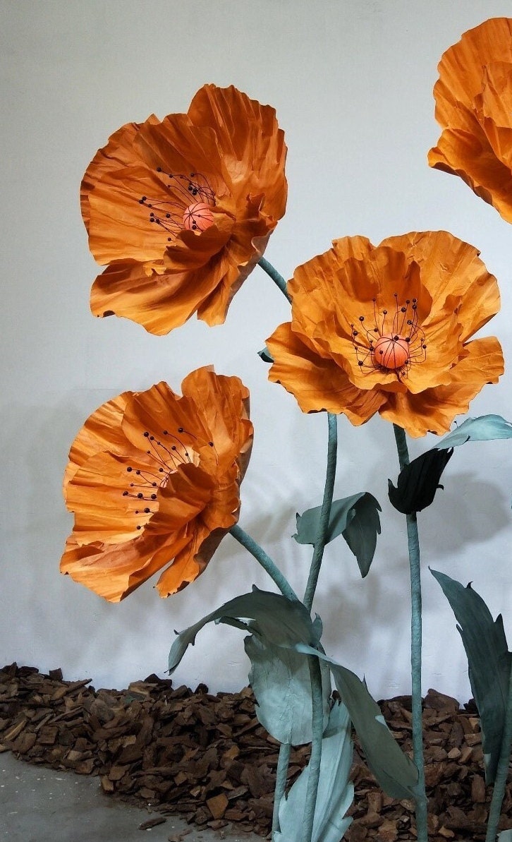 Giant Blooms 23PGF48 Paper Poppies