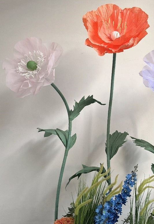 Giant Blooms 23PGF51 Mixed Poppies