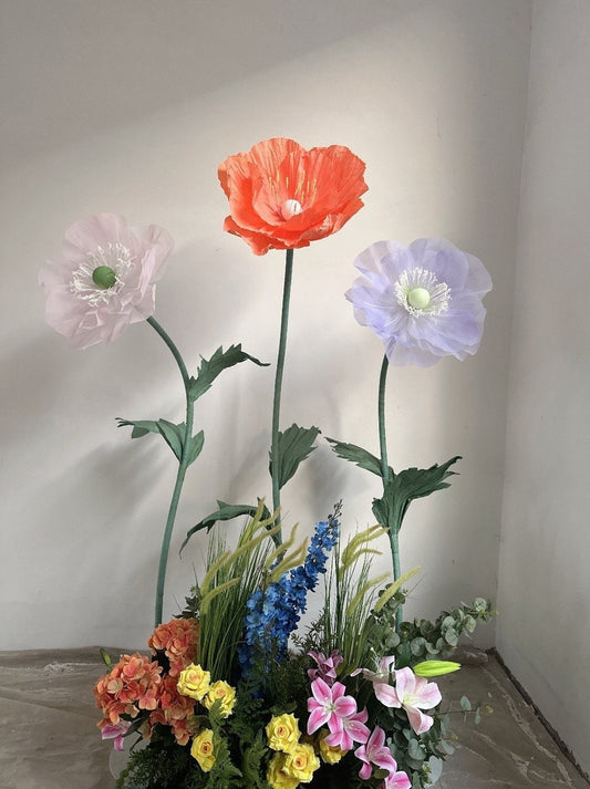 Giant Blooms 23PGF51 Mixed Poppies