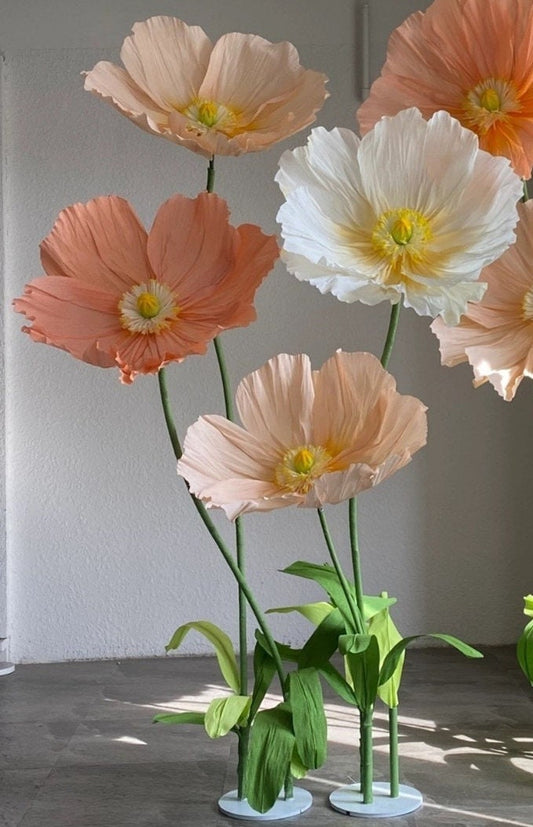 Giant Blooms 23PGF52 Paper Poppies