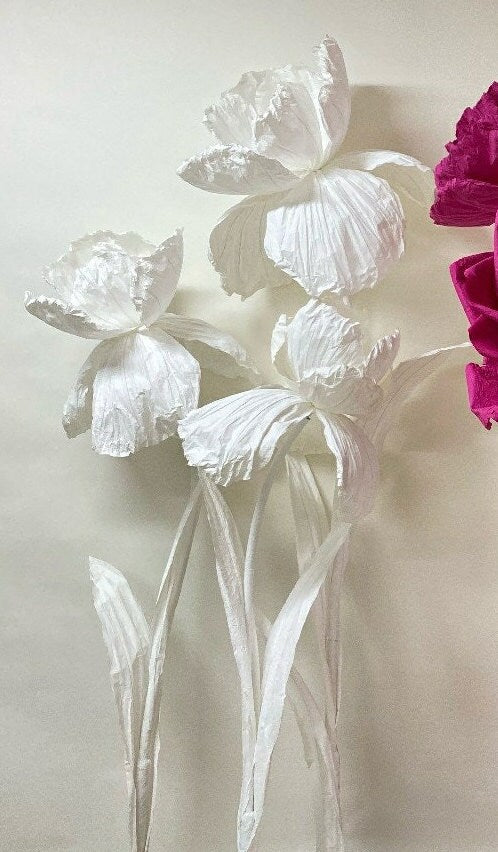 Giant Blooms 23PGF24 Paper Roses+Irises