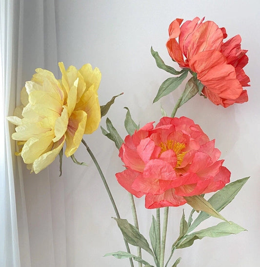 Giant Blooms 23PGF30 Paper Peonies