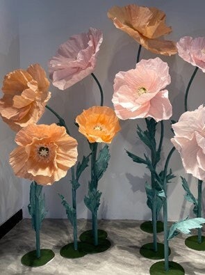 Giant Blooms 23PGF43 Paper Poppies