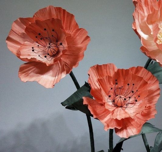 Giant Blooms 23PGF47 Paper Poppies