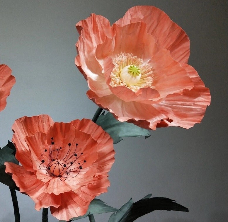 Giant Blooms 23PGF47 Paper Poppies