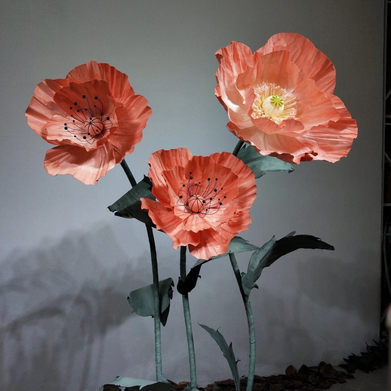 Giant Blooms 23PGF47 Paper Poppies