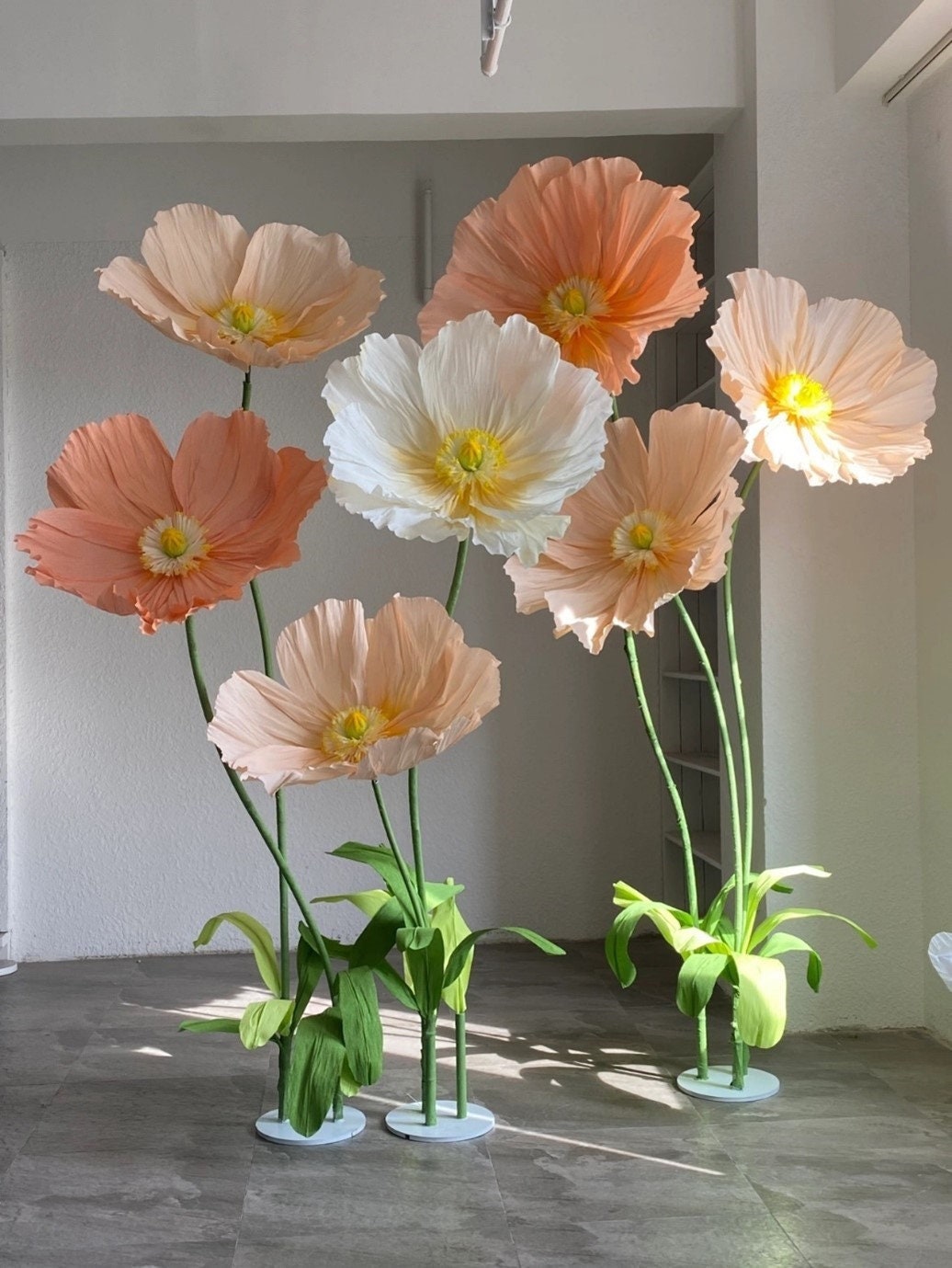 Giant Blooms 23PGF52 Paper Poppies